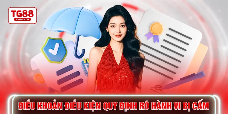 Điều khoản điều kiện quy định rõ các hành vi bị cấm