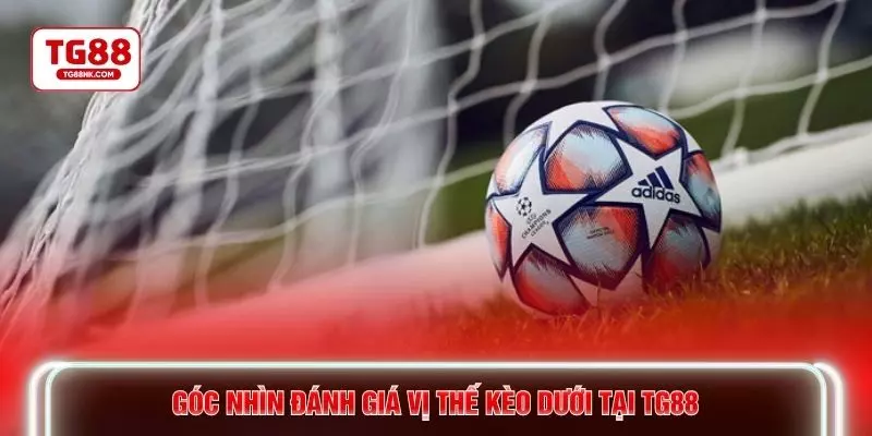 Góc nhìn đánh giá vị thế kèo dưới tại TG88