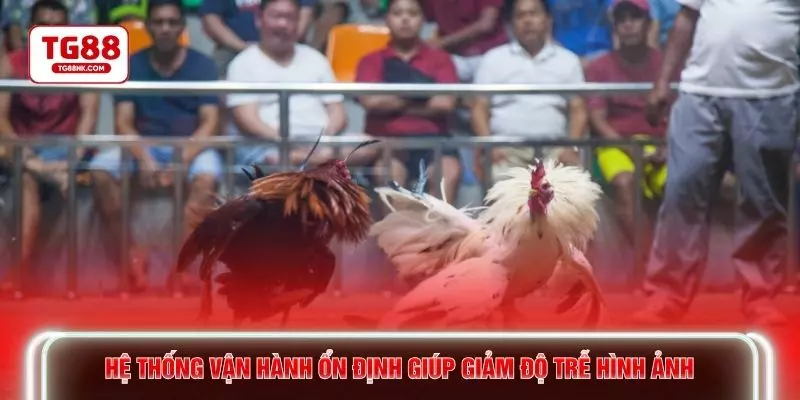 Hệ thống vận hành ổn định giúp giảm độ trễ hình ảnh