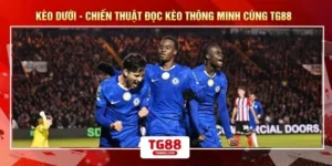 Kèo Dưới - Chiến Thuật Đọc Kèo Thông Minh Cùng TG88 