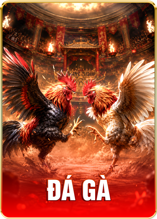 tg88 da ga